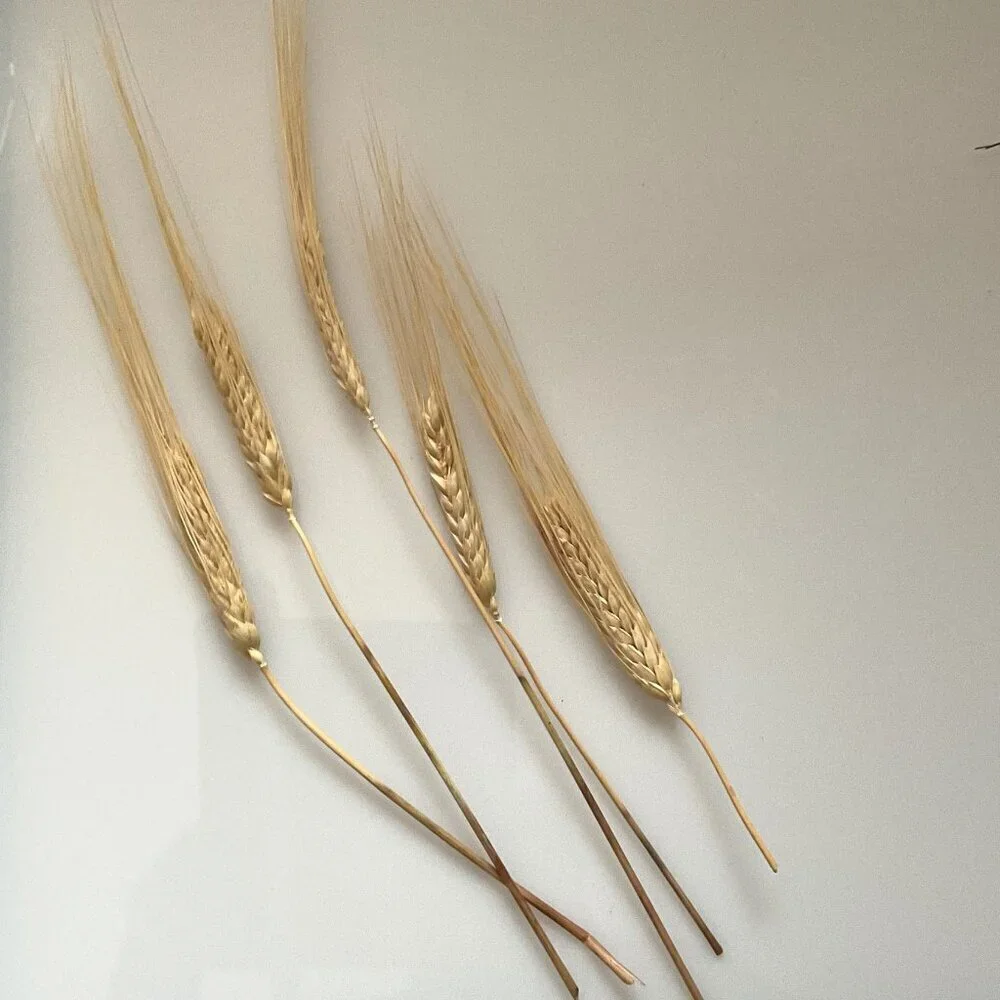 NEW DIY CRAFT BUNDLE WHEAT STALKS FAUX FEATHER GRASS STICK STEMS